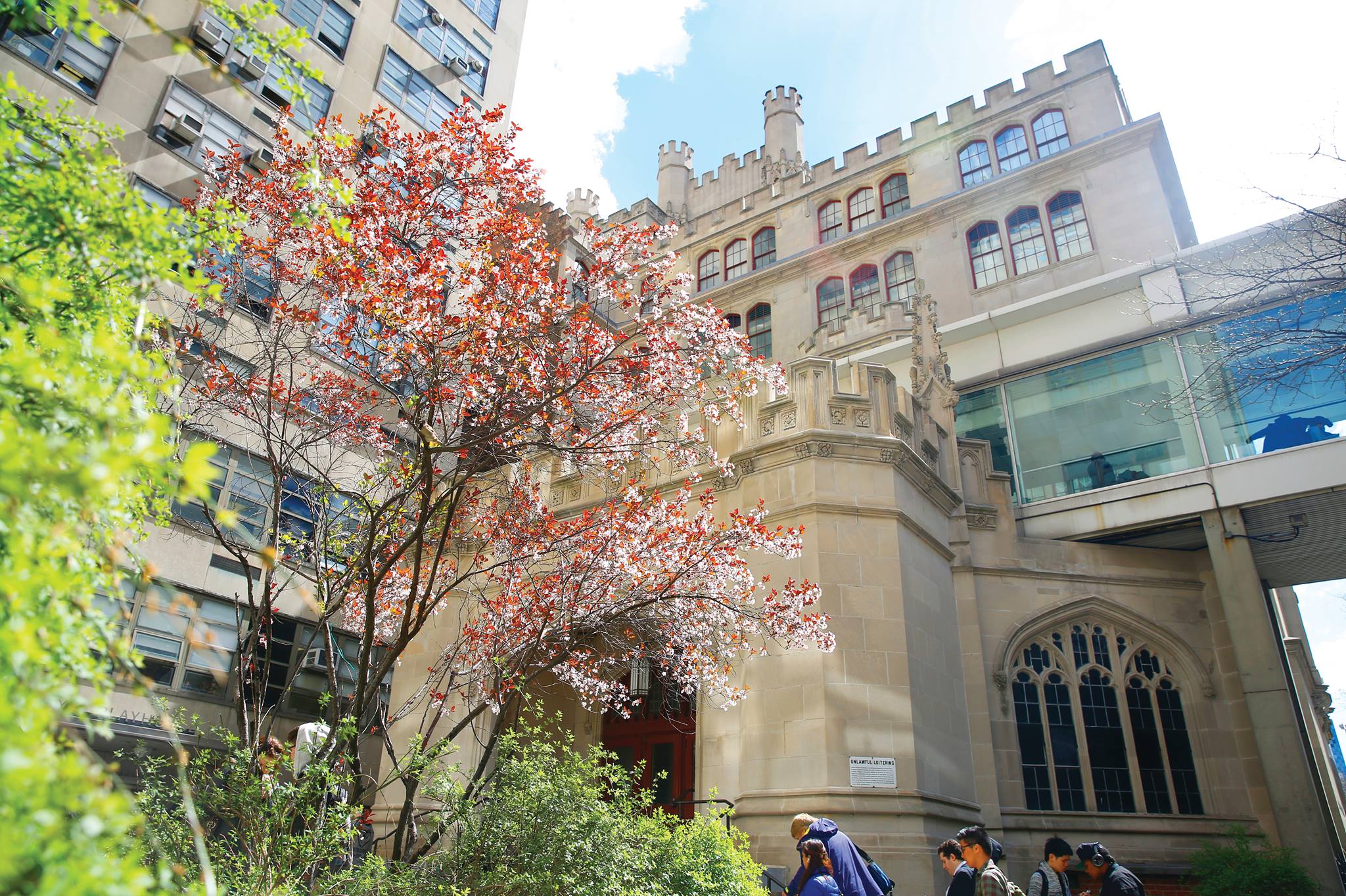 Universities in New York: 10 Best Universities in New York for